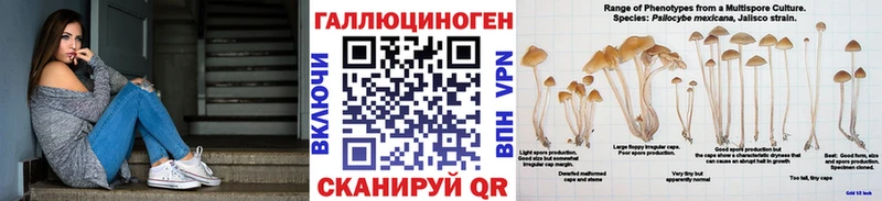 Галлюциногенные грибы мухоморы Купить закладки Сковородино